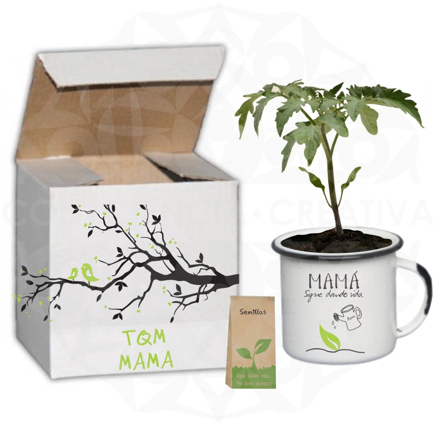TAZA DE PELTRE CON VITRIFICADO, CAJA Y SEMILLAS